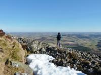 Walker enjoying the View from Bennachie.jpg