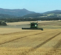 bennachie-harvest-sept16.png